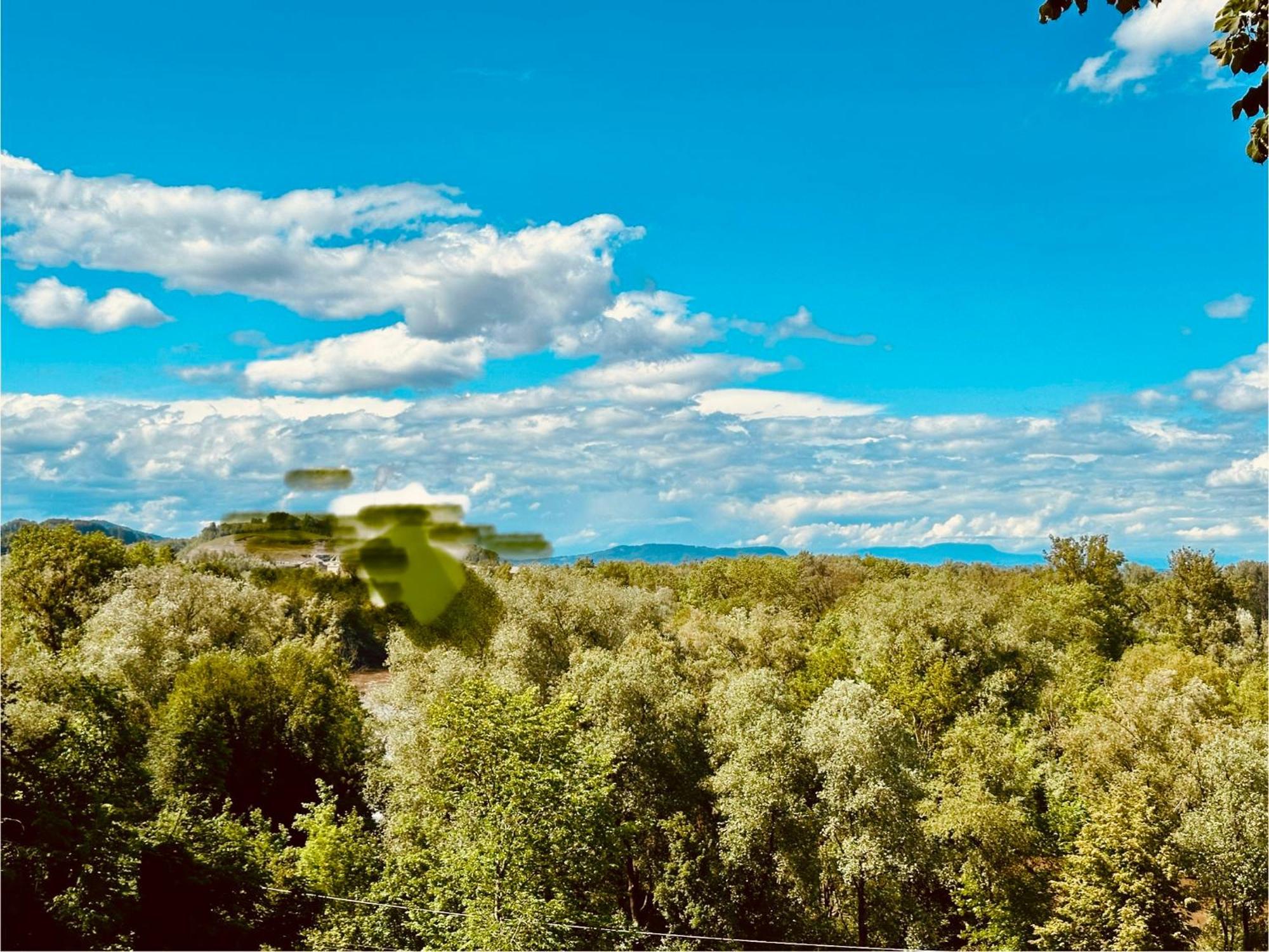 Georgi Schloss - Boutique Hotel Ehrenhausen Eksteriør billede